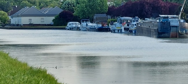 20240615_080953.jpg
