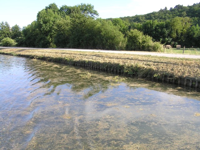 nivernais.JPG