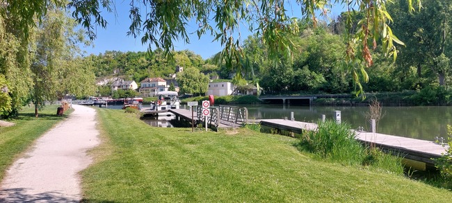 20250509_105953.jpg